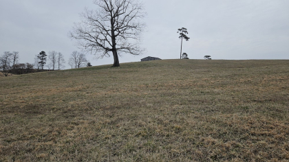 Oak Hill Farms Tract 21