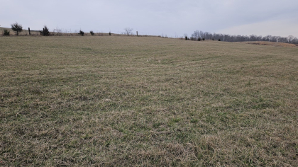 Oak Hill Farms Tract 21