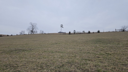 Oak Hill Farms Tract 21