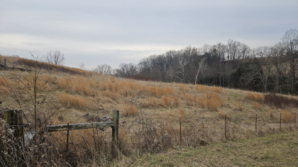 Oak Hill Farms Tract 20