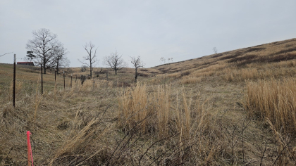 Oak Hill Farms Tract 20