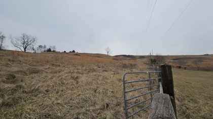 Oak Hill Farms Tract 18