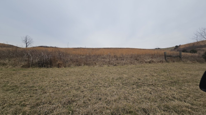 Oak Hill Farms Tract 17