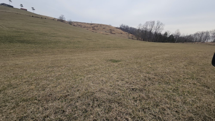 Oak Hill Farms Tract 17