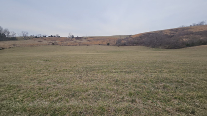 Oak Hill Farms Tract 17