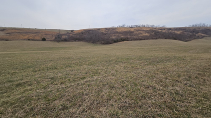 Oak Hill Farms Tract 16