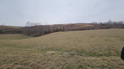 Oak Hill Farms Tract 16