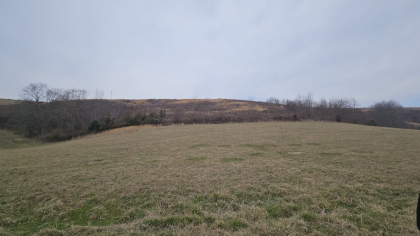 Oak Hill Farms Tract 16