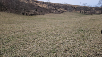 Oak Hill Farms Tract 15