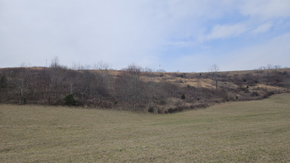 Oak Hill Farms Tract 15