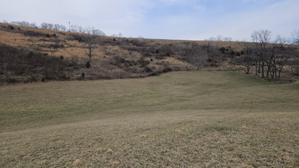 Oak Hill Farms Tract 15