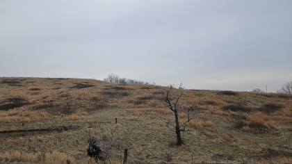 Oak Hill Farms Tract 20