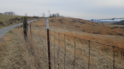 Oak Hill Farms Tract 20