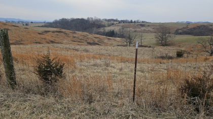 Oak Hill Farms Tract 20