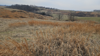 Oak Hill Farms Tract 20