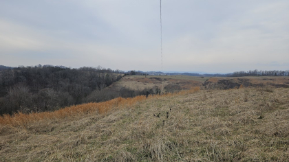 Oak Hill Farms Tract 19