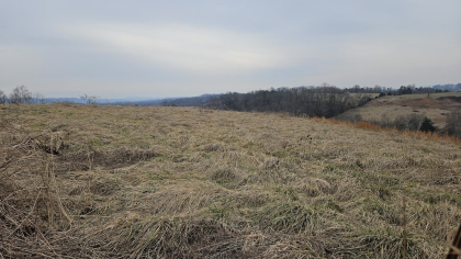 Oak Hill Farms Tract 19