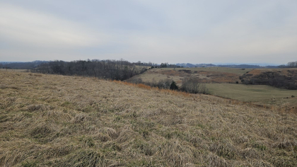 Oak Hill Farms Tract 19