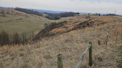 Oak Hill Farms Tract 15