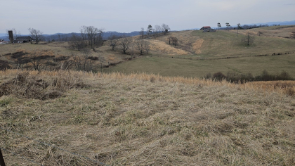 Oak Hill Farms Tract 15