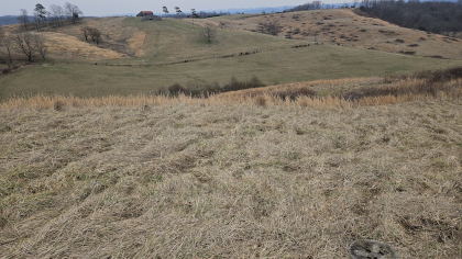 Oak Hill Farms Tract 15