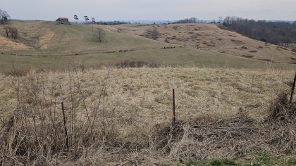 Oak Hill Farms Tract 16