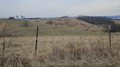 Oak Hill Farms Tract 16