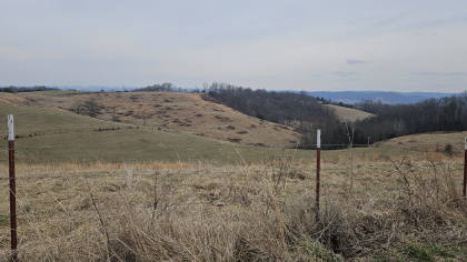 Oak Hill Farms Tract 16