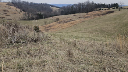 Oak Hill Farms Tract 17