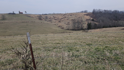 Oak Hill Farms Tract 17