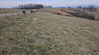 Oak Hill Farms Tract 17