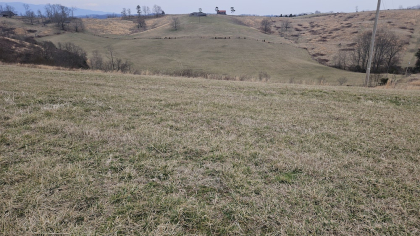 Oak Hill Farms Tract 17