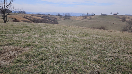 Oak Hill Farms Tract 18