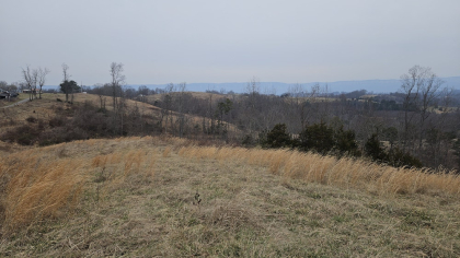 Oak Hill Farms Tract 23