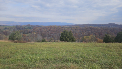 Oak Hill Farms Tract 25