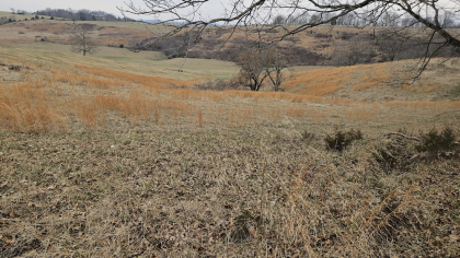 Oak Hill Farms Tract 22