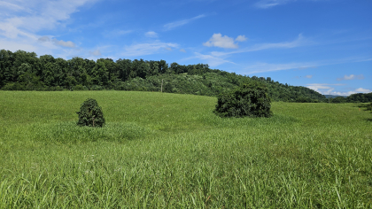 Lester Jarnigan Tract 1
