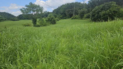 Lester Jarnigan Tract 5