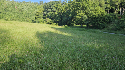 Lester Jarnigan Tract 8