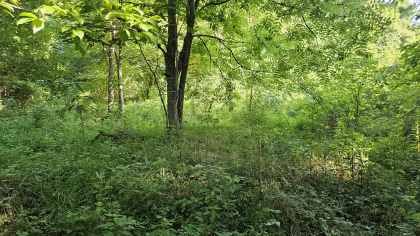 Lester Jarnigan Tract 10