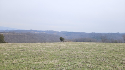 Oak Hill Farms Tract 26