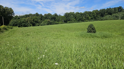 Lester Jarnigan Tract 1