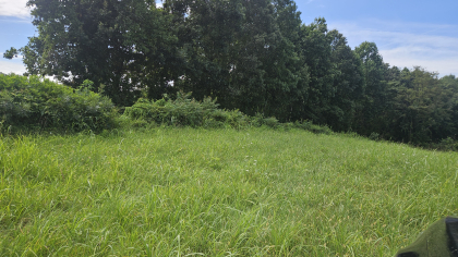 Lester Jarnigan Tract 3