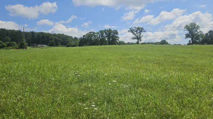 Lester Jarnigan Tract 4