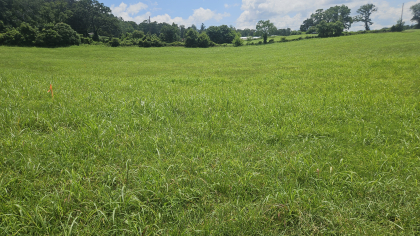 Lester Jarnigan Tract 5
