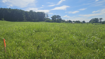 Lester Jarnigan Tract 6