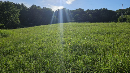 Lester Jarnigan Tract 8