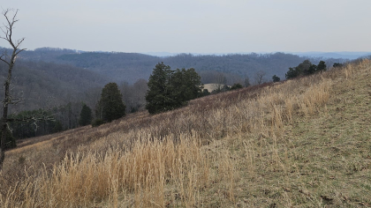 Oak Hill Farms Tract 24