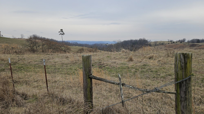 Oak Hill Farms Tract 22