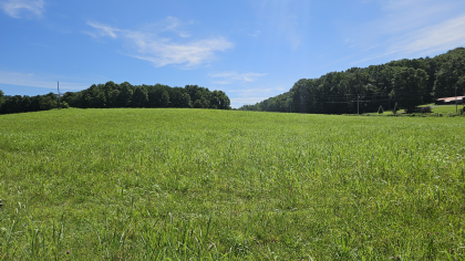 Lester Jarnigan Tract 1